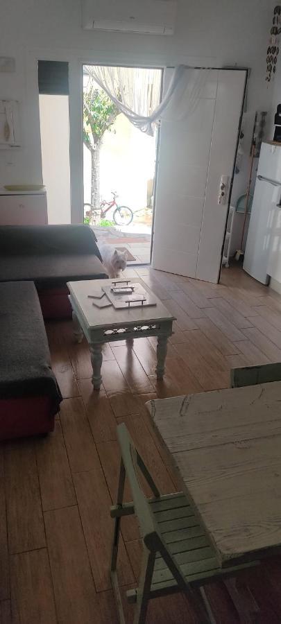 Apartment Loft El Pez Blanco